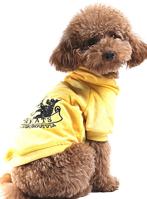 Dog YELLOW Hoodie Velour Jacket Coat Clothes Any Size  