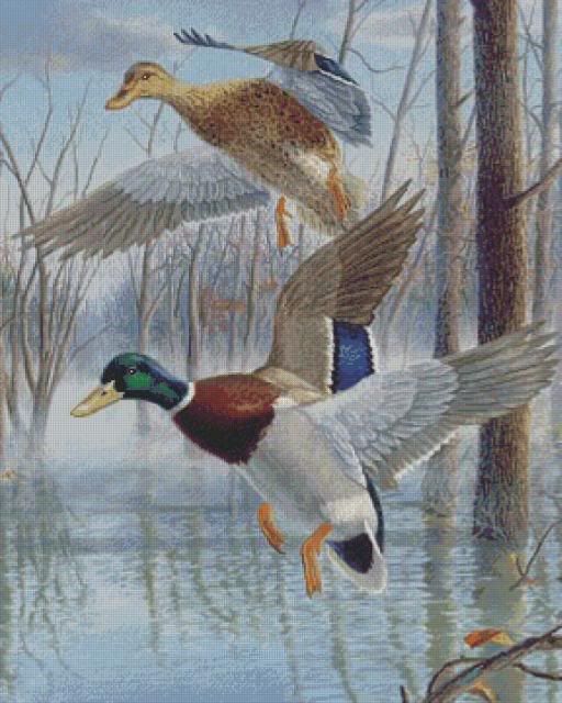 MALLARD DUCKS~COUNTED CROSS STITCH PATTERN  