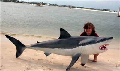 Big Great White Shark Replica MOUNT  Full All Around  