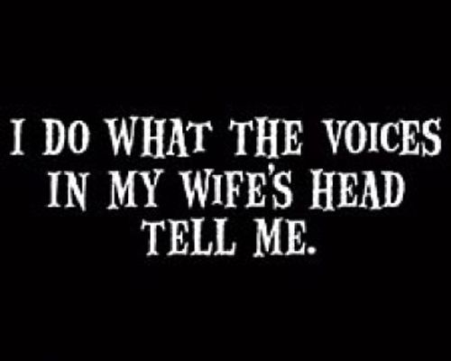 AKA Voices in My Wifes Head Tell Me Funny T shirt  