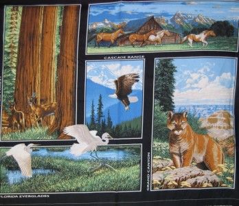 NATIONAL PARKS PANEL  