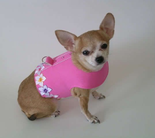 SM Dog Clothes CUSTOM COUTURE HARNESS HANDMADE PANSIES  