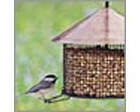 Large Deluxe Wire Mesh Hanging Wild Bird Seed Feeder  