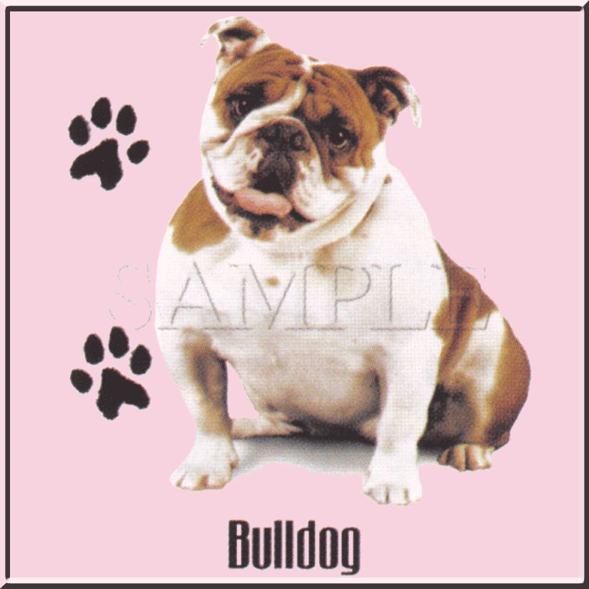 English Bulldog Photo Bull Dog Breed Shirt S 3X,4X,5X  