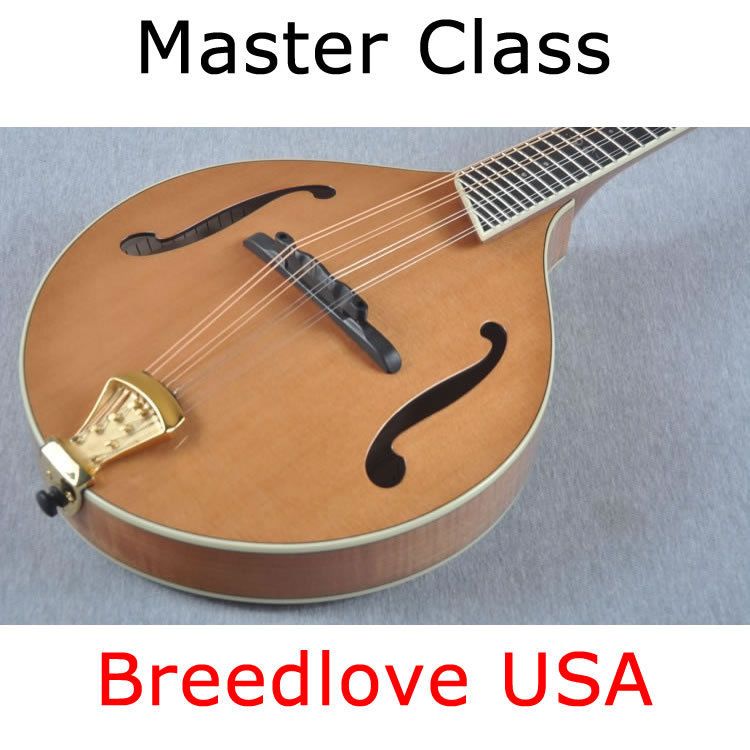   Class Alpine Mandolin   Made in USA Custom Shop 875934001900  