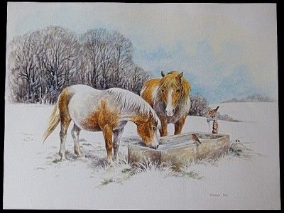 Frances Fry Watercolour Painting   Shetland Ponies & Robins In A Snowy 