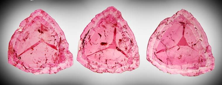 SLICES@26ct 1.3 Polished Red LIDDICOATITE TOURMALINE  