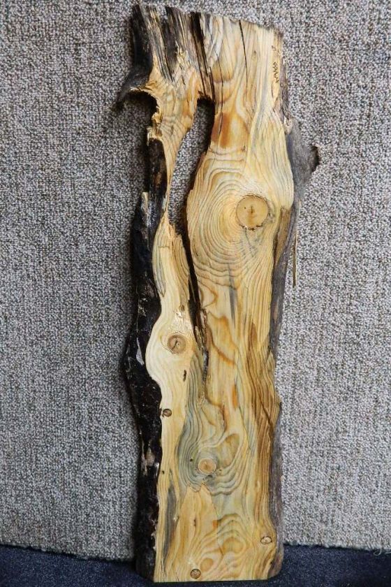 Blue Spalted Knotty Pine Curly Figured Craftwood Lumber Slab 5364 