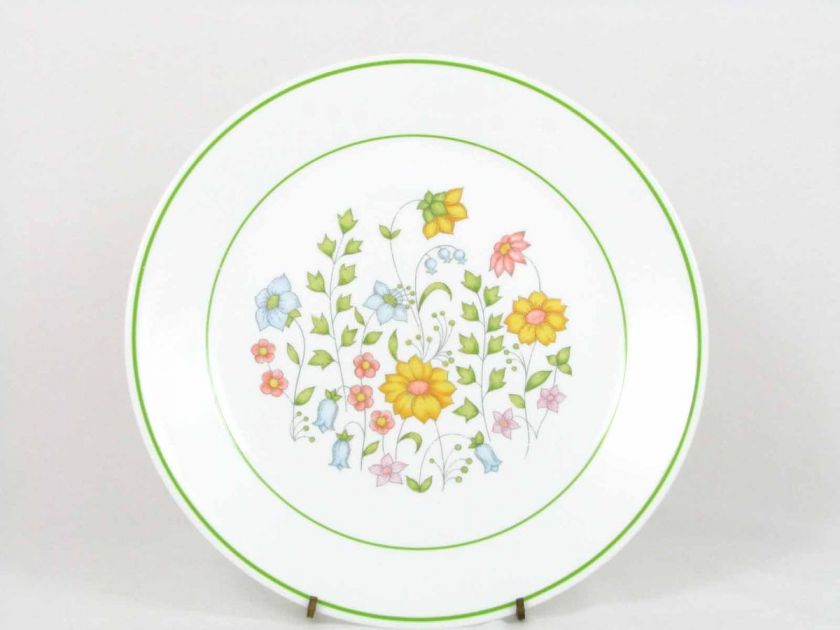 Corning Corelle Dinnerware Meadow Pattern Set of 2 Salad Plates  