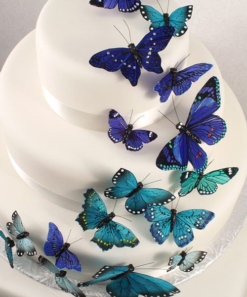 Butterfly Theme Cake Set Wedding Spring Bridal Shower  