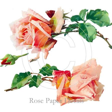 Shabby Vintage Chic Beautiful Lush 2 Single Roses Decal  