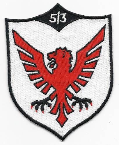 USAF 513th Fighter Squadron patch  