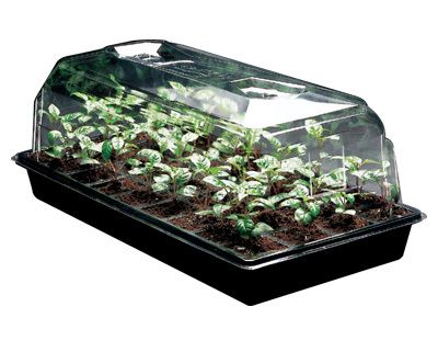 GroTek Snugfit 6 Propagation Cloning Dome with Tray  