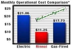 Rinnai   17,000 BTU Direct Vent Wall Room Heater  EX17C  