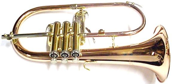 New Bronze JAZZ Flugelhorn w/case & Bach valve oil + Selmer trumpet 