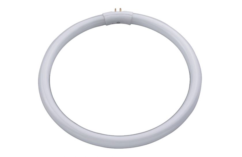 Daylight 22w/T5 Circular Fluorescent Tube 809802120103  