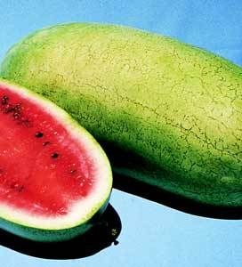 Charleston Gray Watermelon Seeds  30  