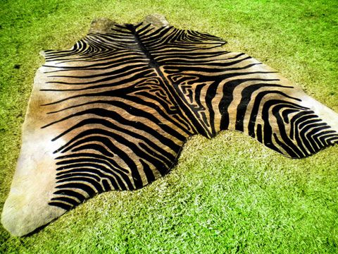 ZEBRA Print/Printed COWHIDE SKIN Rug steer COW HIDE  